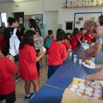 Osnovnošolska olimpiada