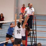 Briščiki, odbojka; Turnir prijateljstva