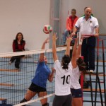 Briščiki, odbojka; Turnir prijateljstva