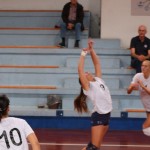 Briščiki, odbojka; Turnir prijateljstva