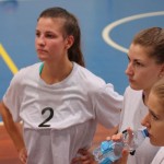 Briščiki, odbojka; Turnir prijateljstva