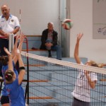 Briščiki, odbojka; Turnir prijateljstva