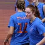 Briščiki, odbojka; Turnir prijateljstva