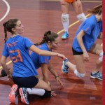 Briščiki, odbojka; Turnir prijateljstva