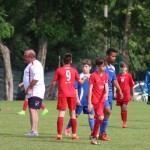 Pokal Krasa - začetniki