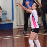 Briščiki, odbojka; Turnir prijateljstva