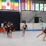 Mednarodni Pokal Sedmak - Bressan