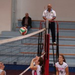 Briščiki, odbojka; Turnir prijateljstva