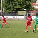 Pokal Krasa - začetniki