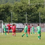 Pokal Krasa - začetniki