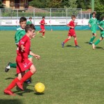 Pokal Krasa - začetniki