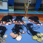 Osnovnošolska olimpiada