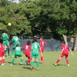 Pokal Krasa - začetniki