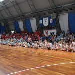 Osnovnošolska olimpiada