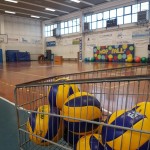 Hop & Ball