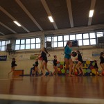 Hop & Ball
