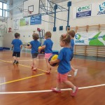 Hop & Ball