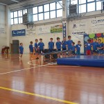 Hop & Ball