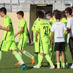 Turnir “Zarja U15”