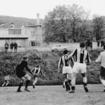 61 nog kriz-prosek