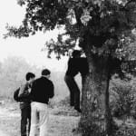 65 pohod drevo