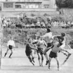 67 nog breg-vesna