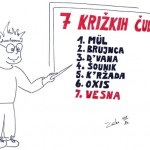 7cudes