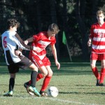 Kras Repen - Roianese