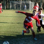 Kras Repen - Roianese