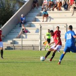 Triestina - Vesna