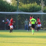 Triestina - Vesna