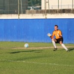 Triestina - Vesna