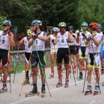 Grand Prix Alpe Jadran (5. Trofeja ZSŠDI)