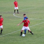 Triestina - Vesna
