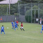 Triestina - Vesna