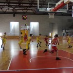 Gemona Basket - Dom
