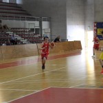 Gemona Basket - Dom