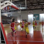 Gemona Basket - Dom