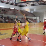 Gemona Basket - Dom