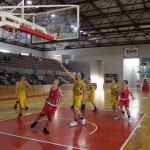 Gemona Basket - Dom