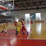 Gemona Basket - Dom