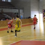 Gemona Basket - Dom