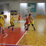 Gemona Basket - Dom