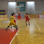 Gemona Basket - Dom