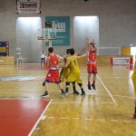 Gemona Basket - Dom