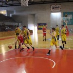 Gemona Basket - Dom