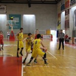 Gemona Basket - Dom