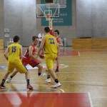 Gemona Basket - Dom