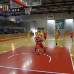 Gemona Basket - Dom