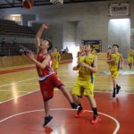 Gemona Basket - Dom